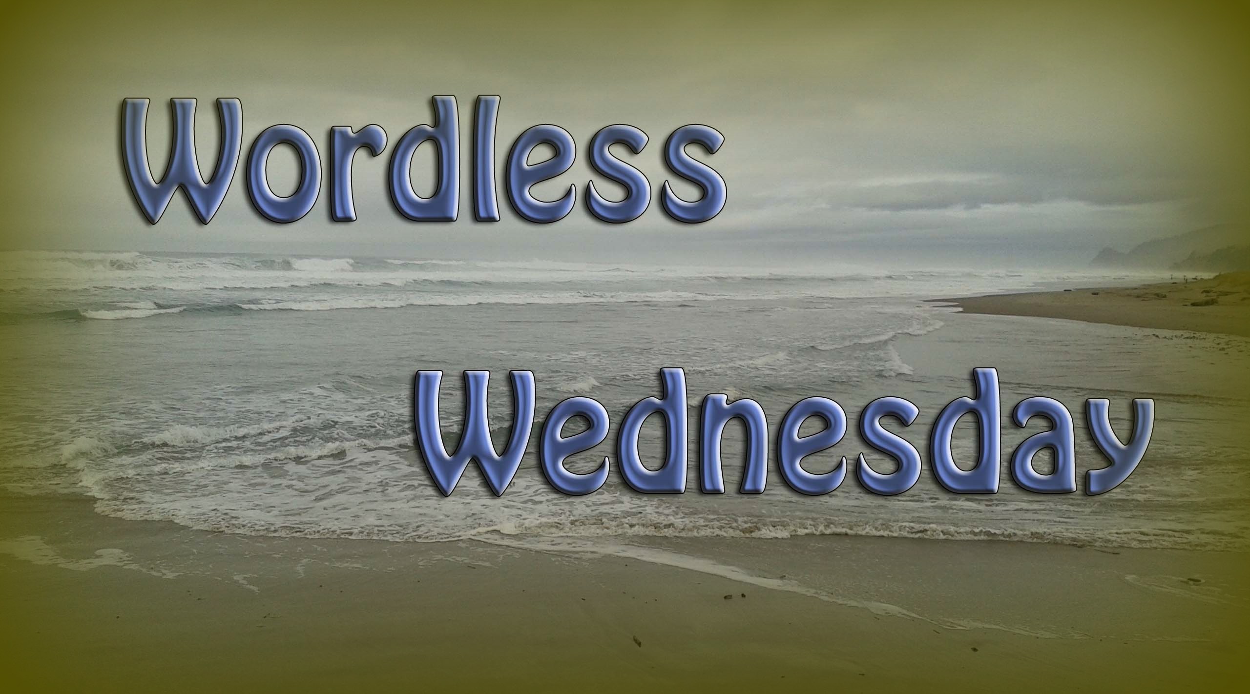 Wordless Wednesday 101